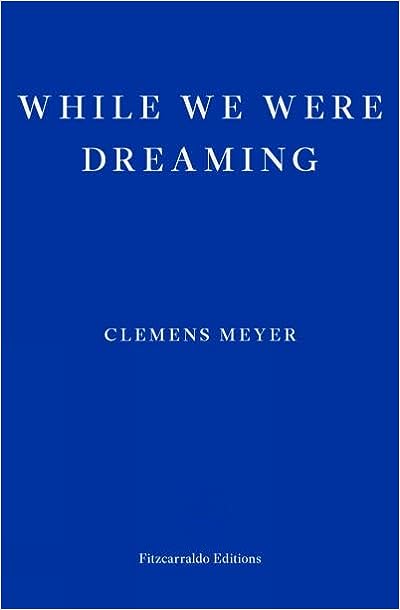 While We Were Dreaming by Clemens Meyer