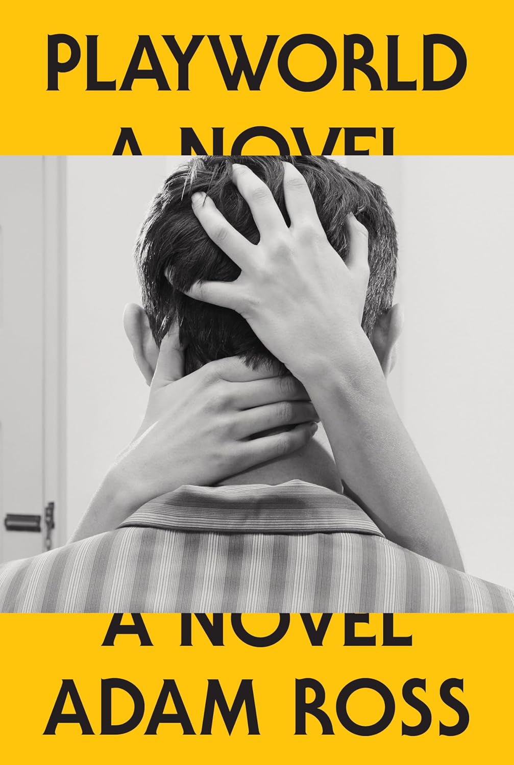Playworld: A Novel by Adam Ross (HC)