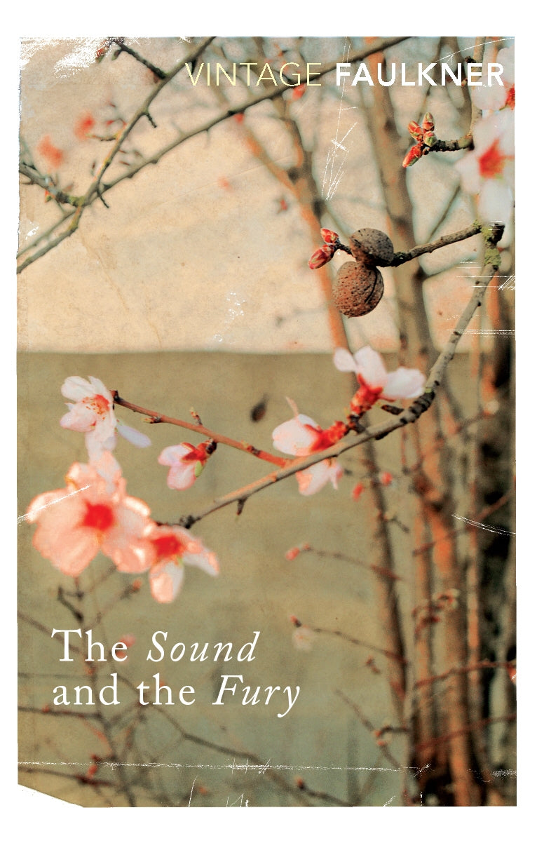 The Sound and the Fury by William Faulkner