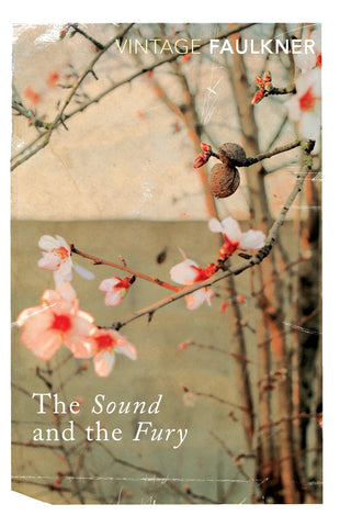The Sound and the Fury by William Faulkner